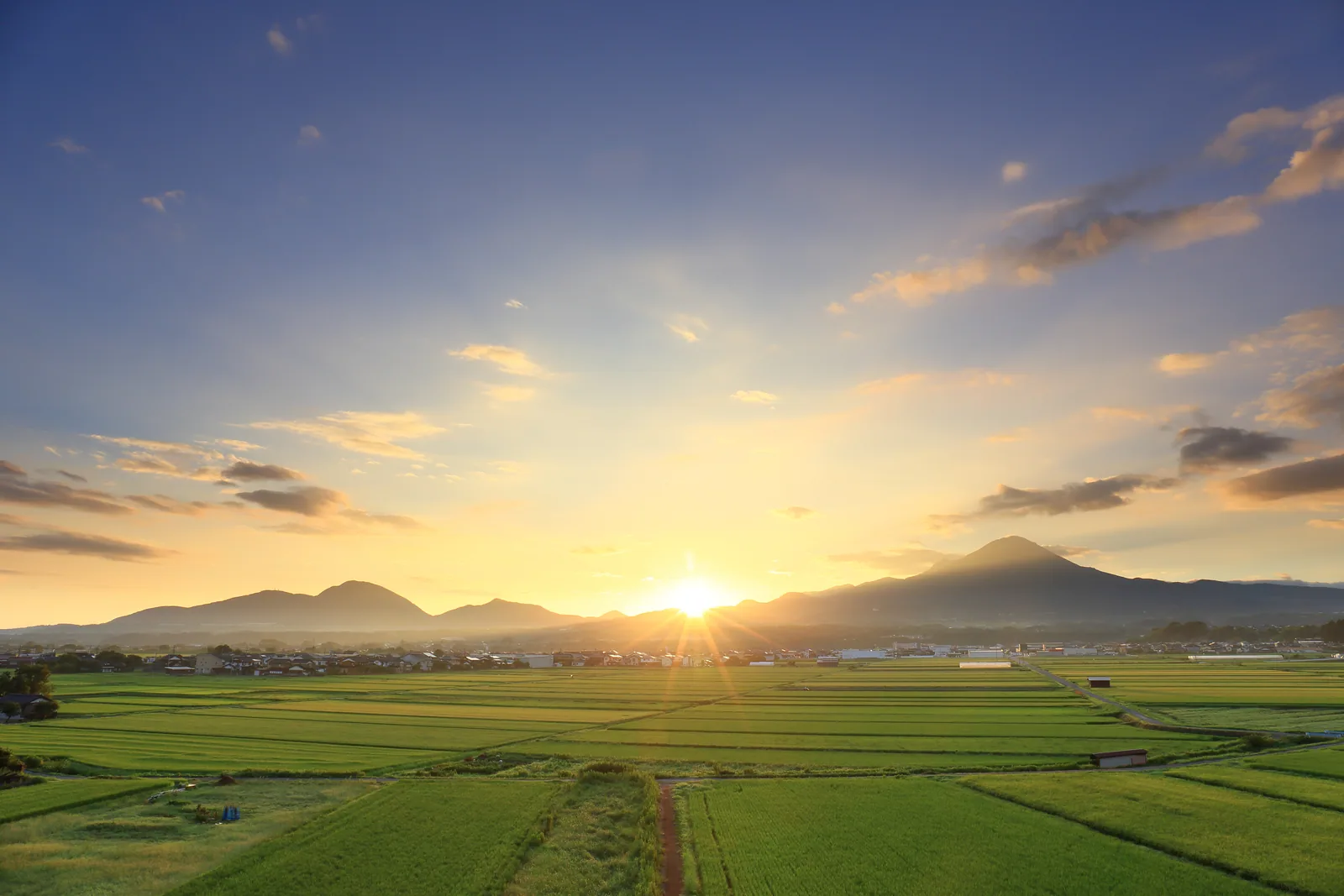 夕暮れの田園風景
